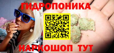 амф Будённовск