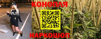 PSILOCYBIN Бузулук